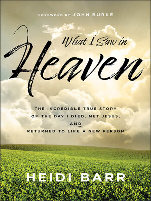 What I Saw in Heaven - ebook
